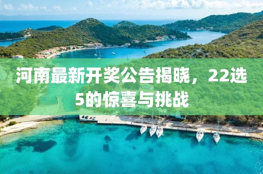 河南最新开奖公告揭晓，22选5的惊喜与挑战