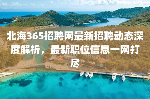 北海365招聘网最新招聘动态深度解析，最新职位信息一网打尽