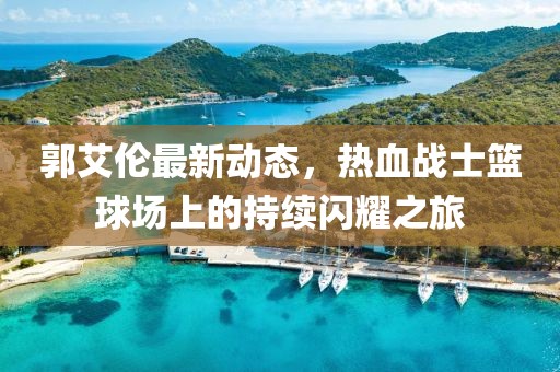 郭艾伦最新动态，热血战士篮球场上的持续闪耀之旅