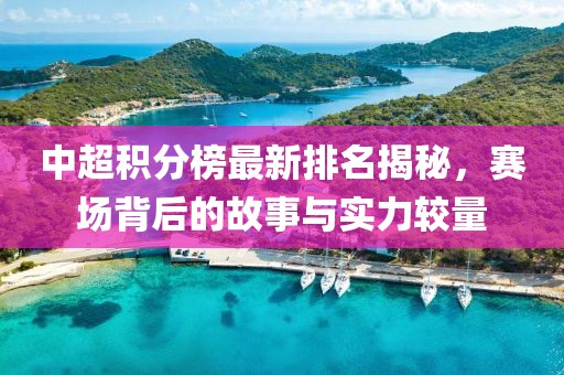 中超积分榜最新排名揭秘，赛场背后的故事与实力较量