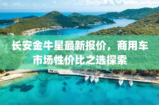 长安金牛星最新报价，商用车市场性价比之选探索